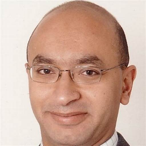 Yasser A. Abdel-Hadi